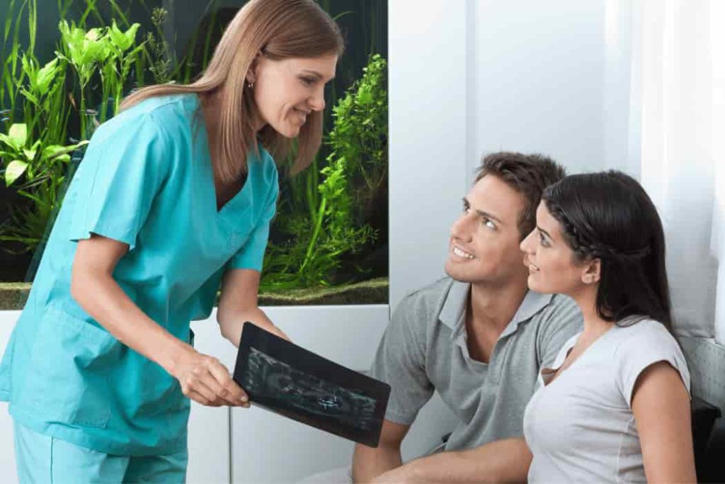 Dental X-Ray (1)