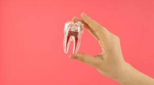 A person holding a tooth in a clear cover, symbolizing dental implants and pain relief.